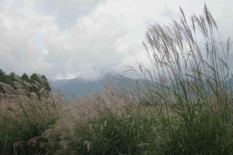 autumn seen from the rooftop