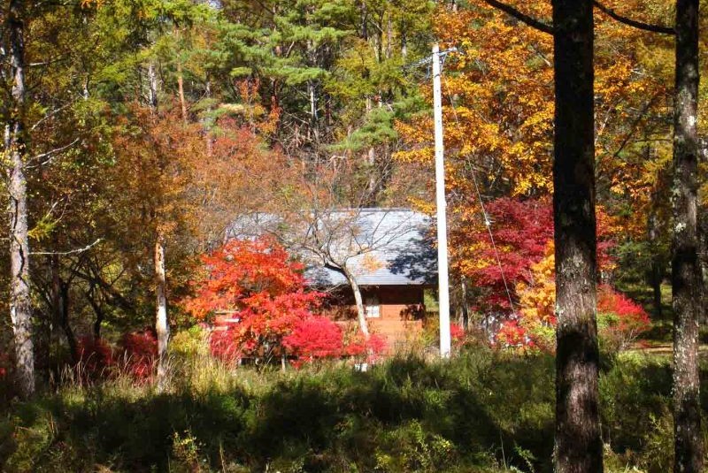 autumn around Lake Kawaguchi