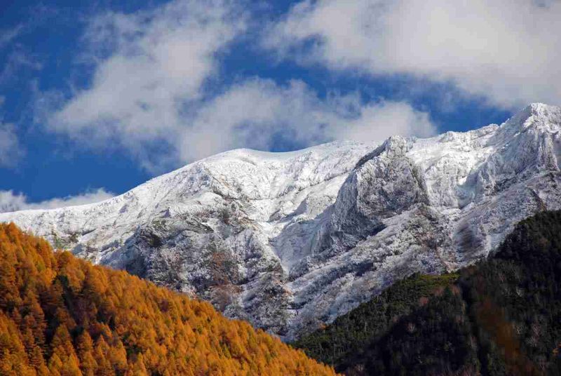 Autographed rugby ball