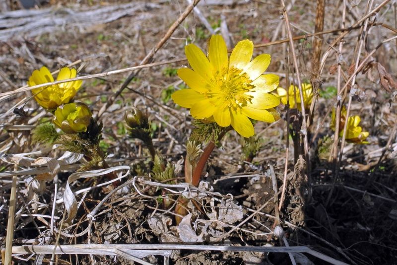 spring just outside the hotel