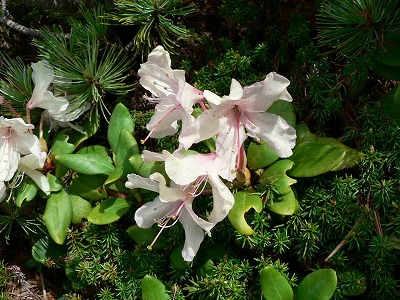 summer just outside the hotel