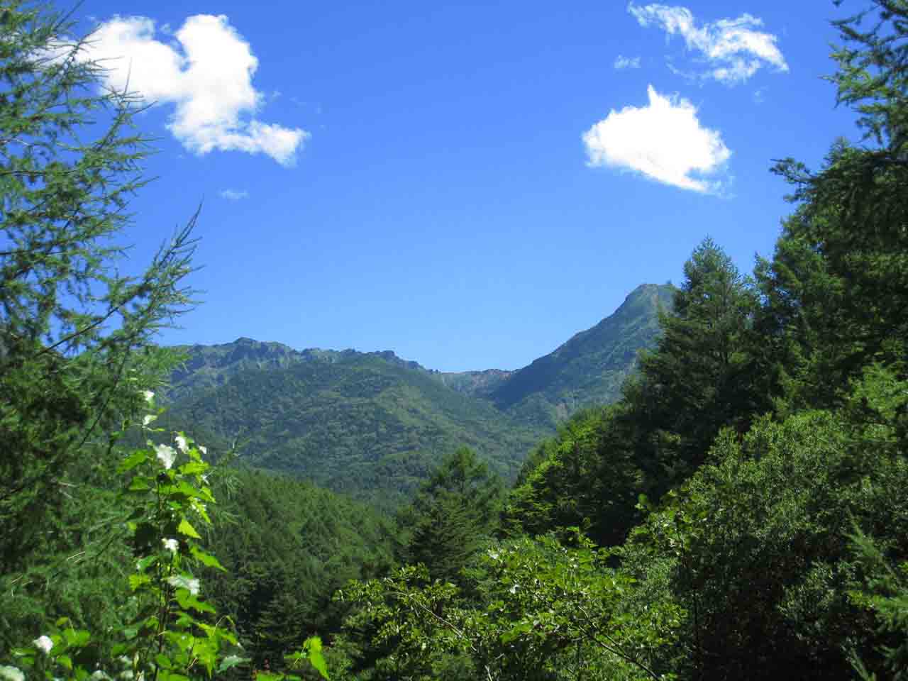 summer around Lake Kawaguchi