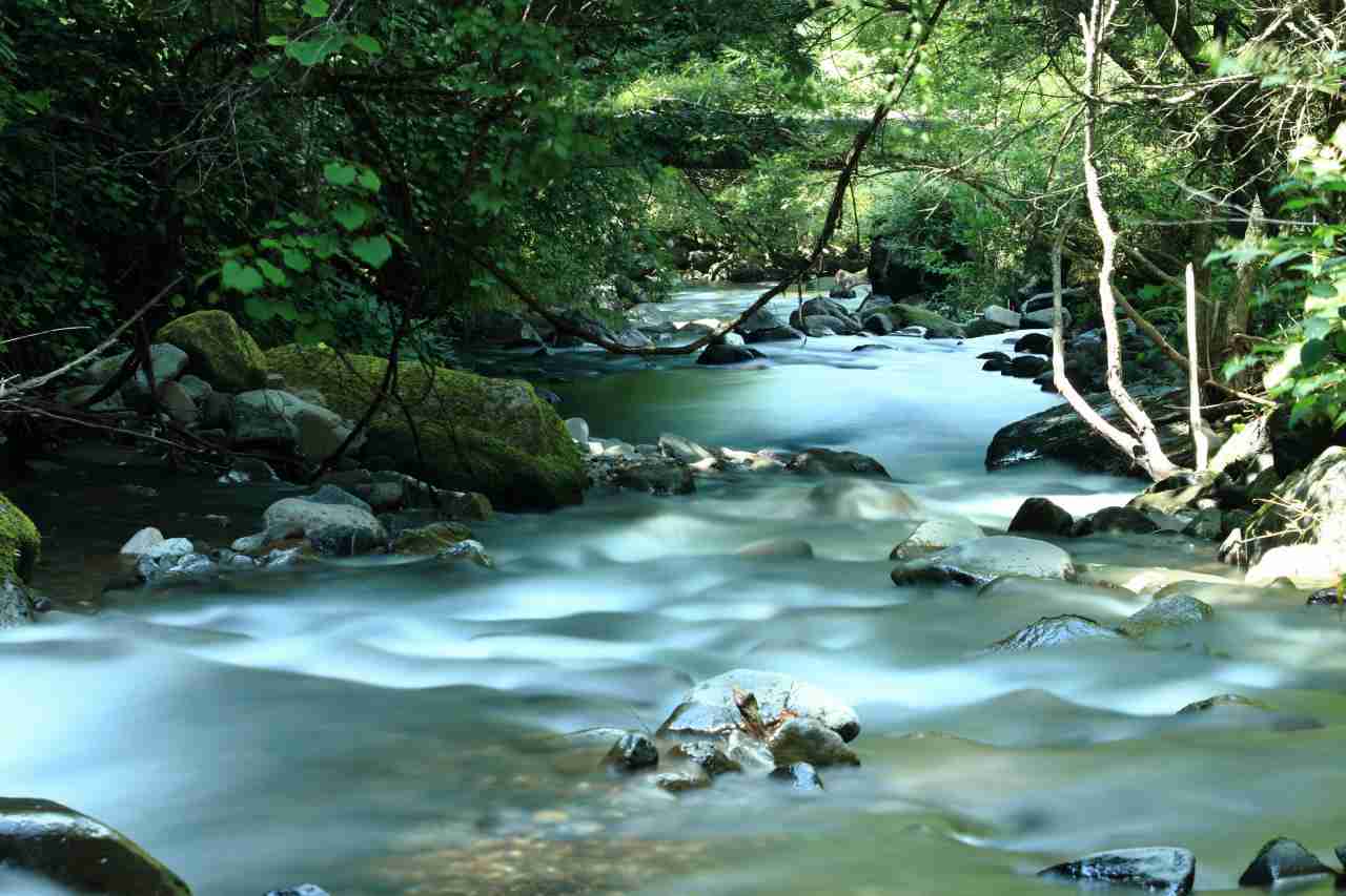 summer around Lake Kawaguchi
