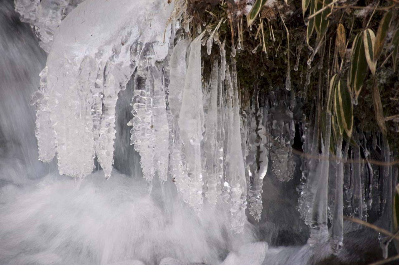 winter seen from the rooftop
