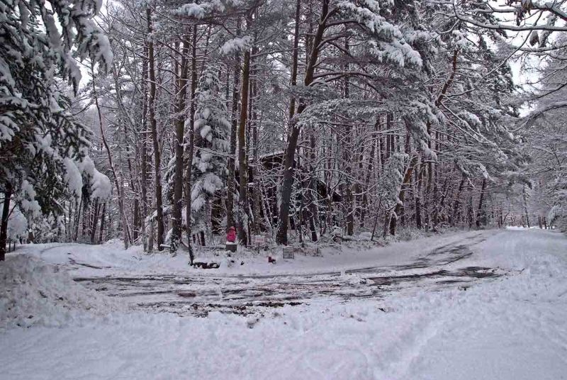 winter seen from the rooftop