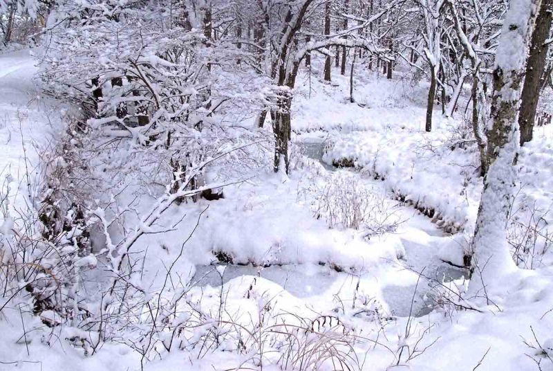 winter seen from the rooftop