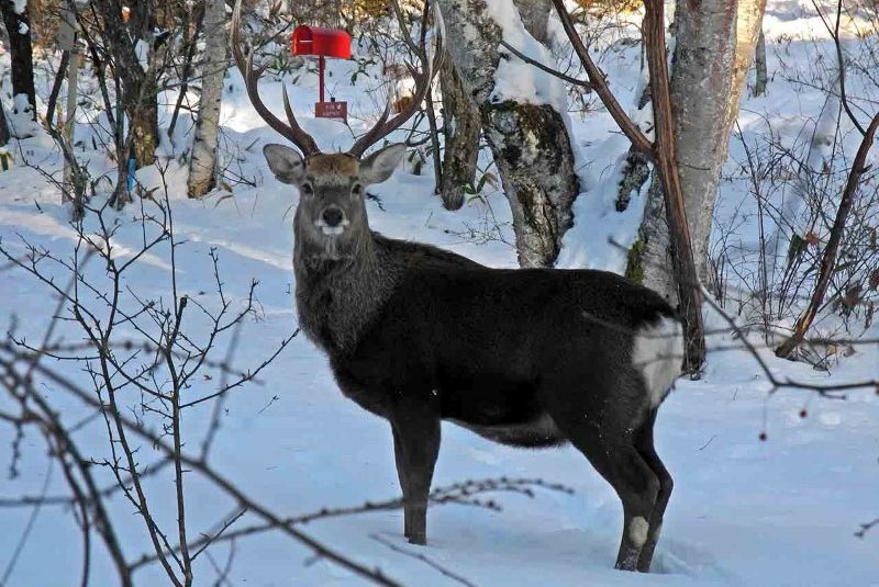 winter seen from the rooftop