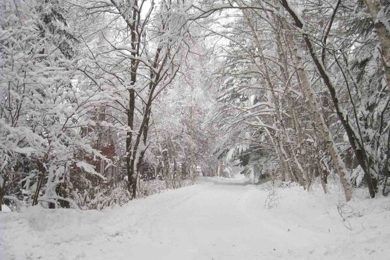 winter seen from the rooftop