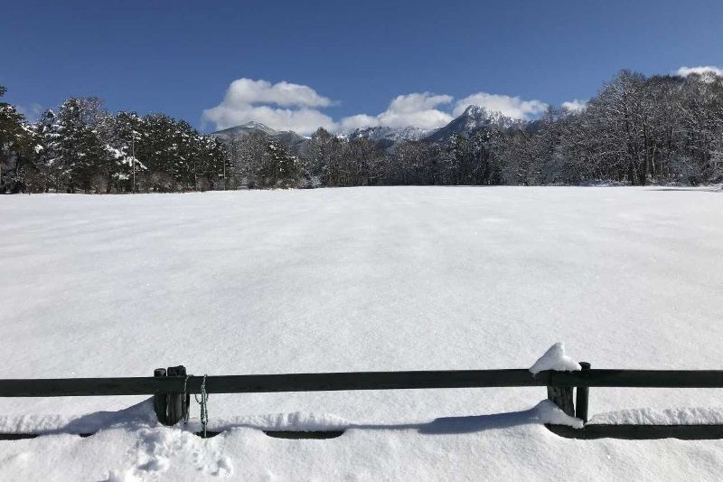 All you can eat crab