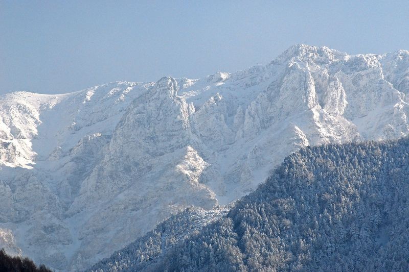 Roast pork at the buffet