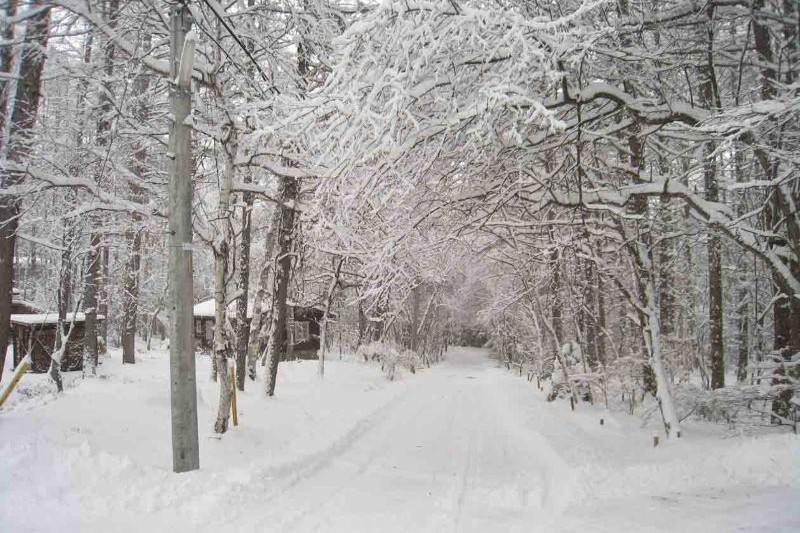winter around Lake Kawaguchi