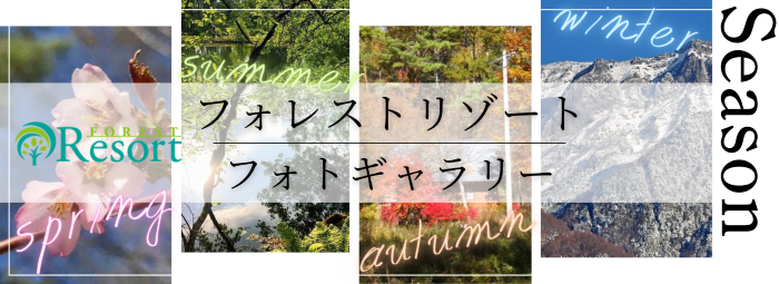 フォトギャラリーへのリンク