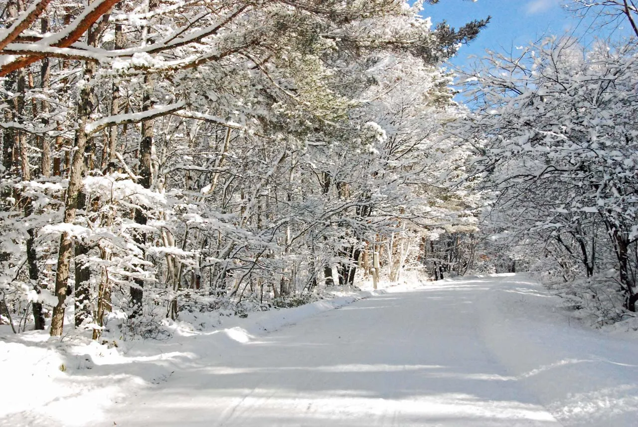 冬の美濃戸高原別荘地と管理された雪道の風景